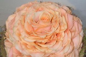 hochzeits-floristik-blumen-boehning-koenigstein-03.jpg