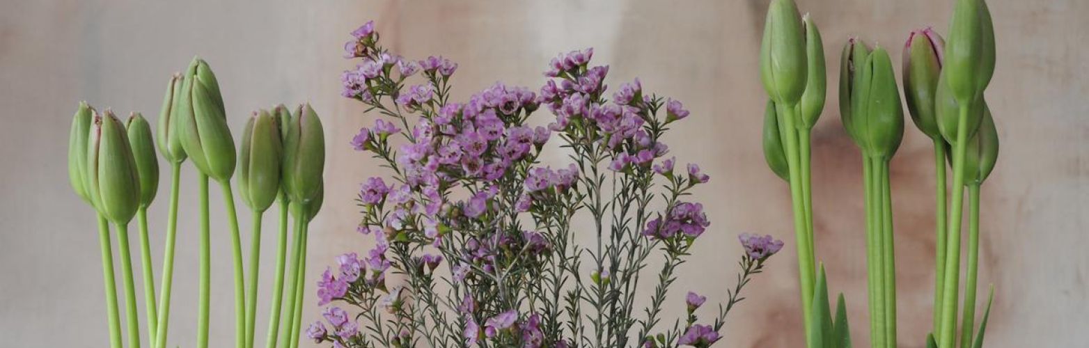 blumen-boehning-koenigstein-jederzeit-2.jpg