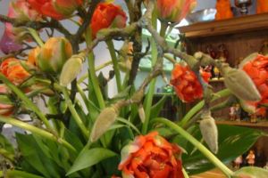 blumen-boehning-koenigstein-jederzeit-11.jpg