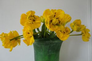 blumen-boehning-koenigstein-jederzeit-4.jpg