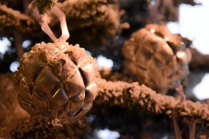 blumen-boehning-königstein-weihnachtsschmuck-2016-27.jpg