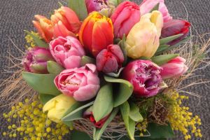 blumen-boehning-koenigstein-jederzeit-9.jpg