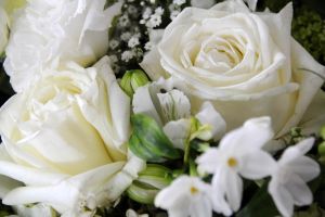 blumen-boehning-königstein-06.jpg