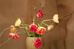 blumen-boehning-königstein-25.jpg