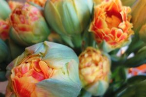 blumen-boehning-koenigstein-jederzeit-7.jpg