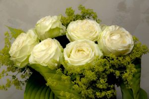 blumen-boehning-königstein-20.jpg